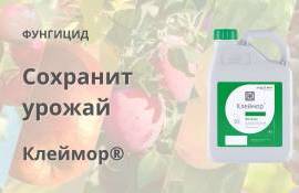 Клеймор® — надёжная защита яблони, винограда и косточковых от гнилей и болезней - agroexpert.md