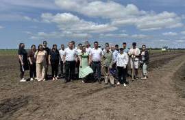 ТУМ закладывает учебные виноградники в рамках проекта Livada Moldovei - agroexpert.md