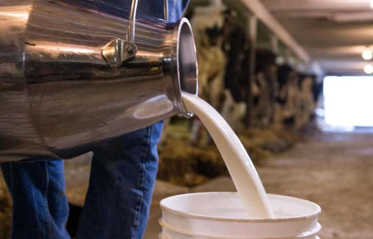 В Молдове летнего снижения закупочных цен на молоко не будет - agroexpert.md