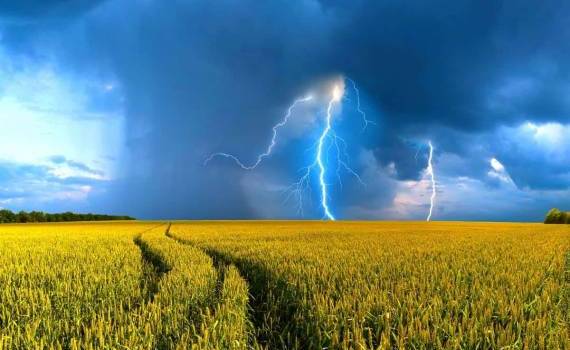 Влияние погодных факторов на мировые агрорынки - agroexpert.md