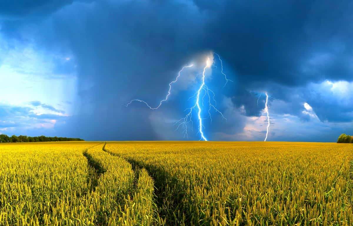 Влияние погодных факторов на мировые агрорынки - agroexpert.md