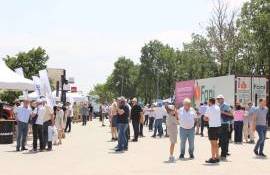 Ziua Fructelor 2025: Exporturile s-ar putea înjumătăți - agroexpert.md