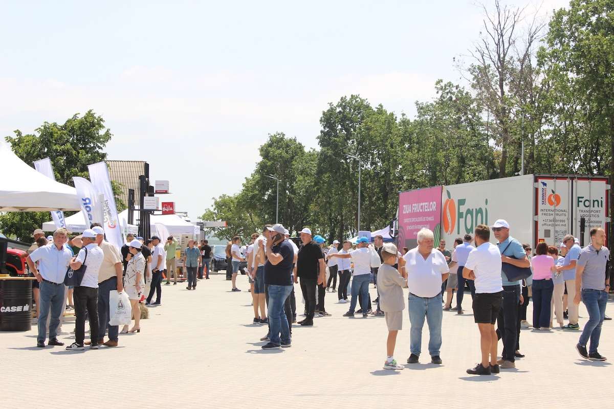 Ziua Fructelor 2025: Exporturile s-ar putea înjumătăți - agroexpert.md