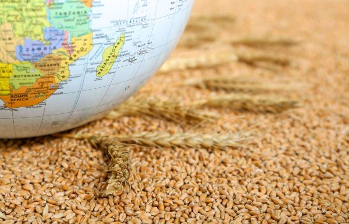Мировой рынок зерна: пшеница, кукуруза и соя выросли в цене в четверг - agroexpert.md