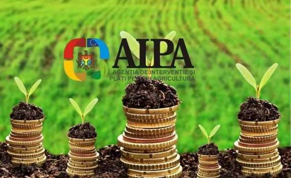 AIPA перечислила фермерам 26,6 млн леев субсидий - agroexpert.md