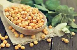 Украинские фермеры заинтересовались горохом: рынок сбыта растёт - agroexpert.md