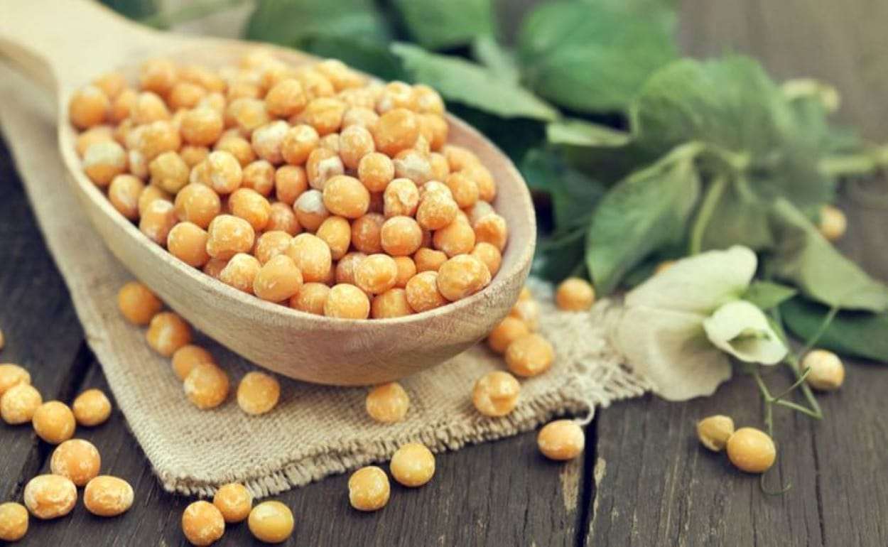 Украинские фермеры заинтересовались горохом: рынок сбыта растёт - agroexpert.md