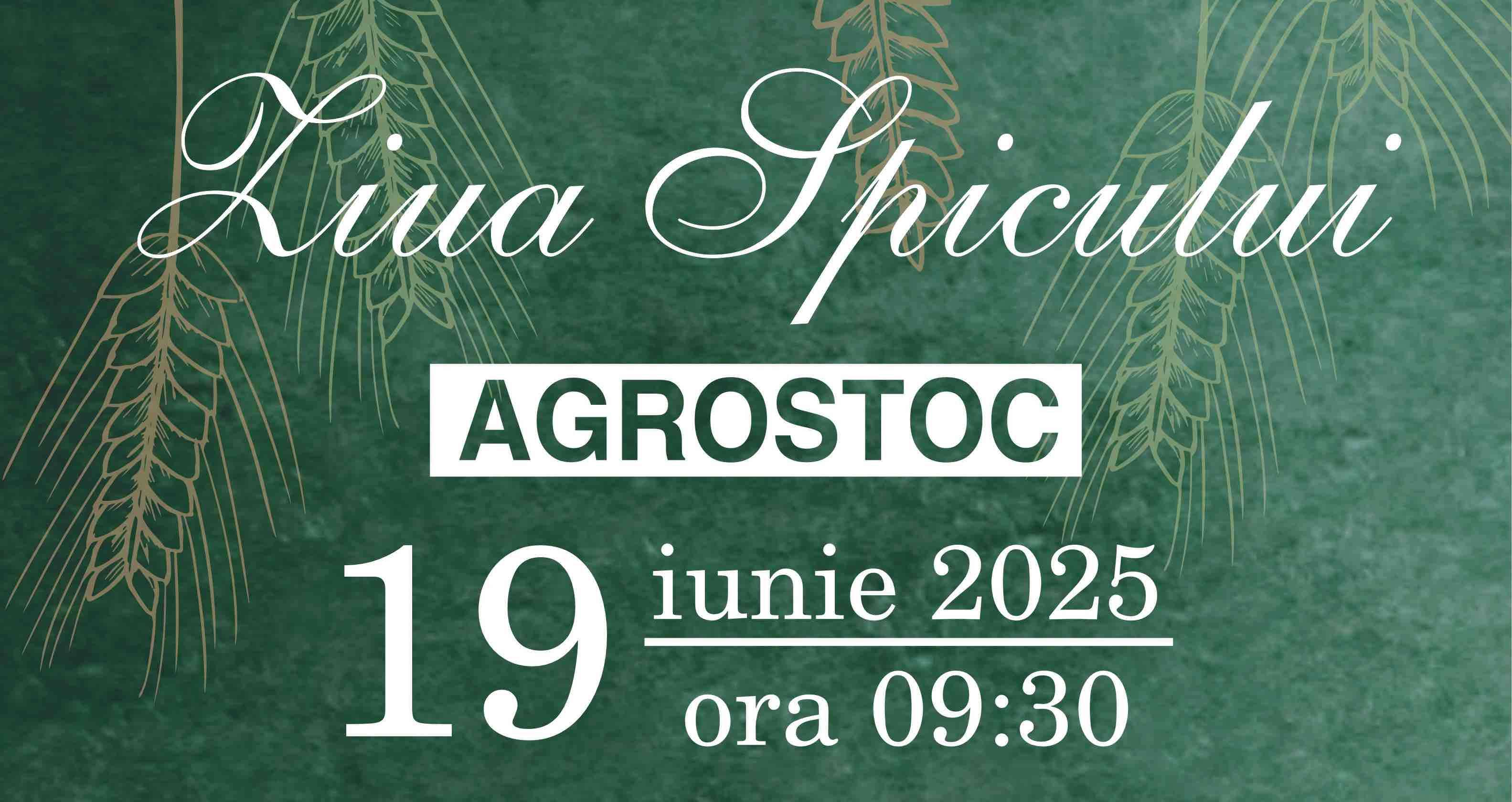 Ziua Spicului Agrostoc: Iată ce trebuie să știi despre eveniment - agroexpert.ms