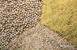 Импорт соевого шрота странами ЕС в 2024/25 МГ достигнет рекордного уровня - agroexpert.md