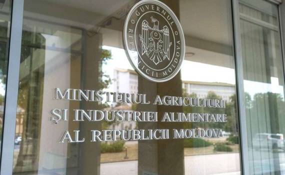 Ущерб от заморозков подсчитан: Минсельхоз обнародовал первые данные - agroexpert.md