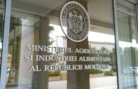 Ущерб от заморозков подсчитан: Минсельхоз обнародовал первые данные - agroexpert.md