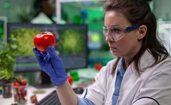 Румыния увеличила время работы служб фитосанитарного контроля на границе - agroexpert.md