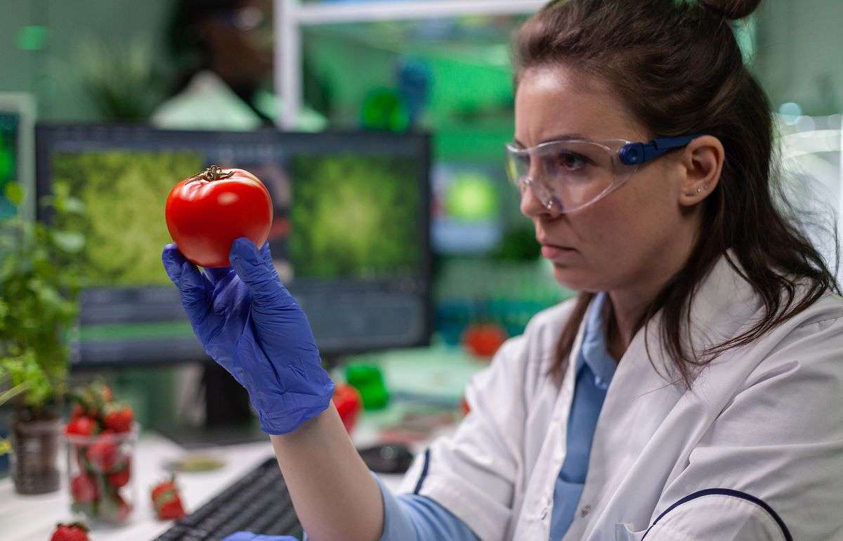 Румыния увеличила время работы служб фитосанитарного контроля на границе - agroexpert.md