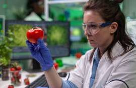 Румыния увеличила время работы служб фитосанитарного контроля на границе - agroexpert.md