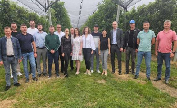 Moldova Fruct и ANSA провели семинар: требования к экспорту фруктов в ЕС - agroexpert.md