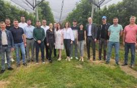 Moldova Fruct и ANSA провели семинар: требования к экспорту фруктов в ЕС - agroexpert.md