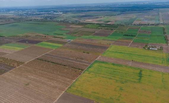 Gestionarea terenurilor în paragină - agroexpert.md