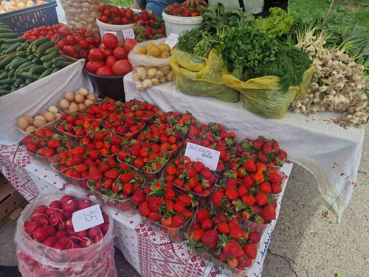 Târguri de sezon organizate în Chișinău - agroexpert.md