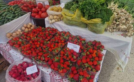 Târguri de sezon organizate în Chișinău - agroexpert.md