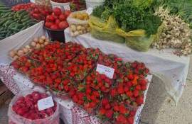 Târguri de sezon organizate în Chișinău - agroexpert.md