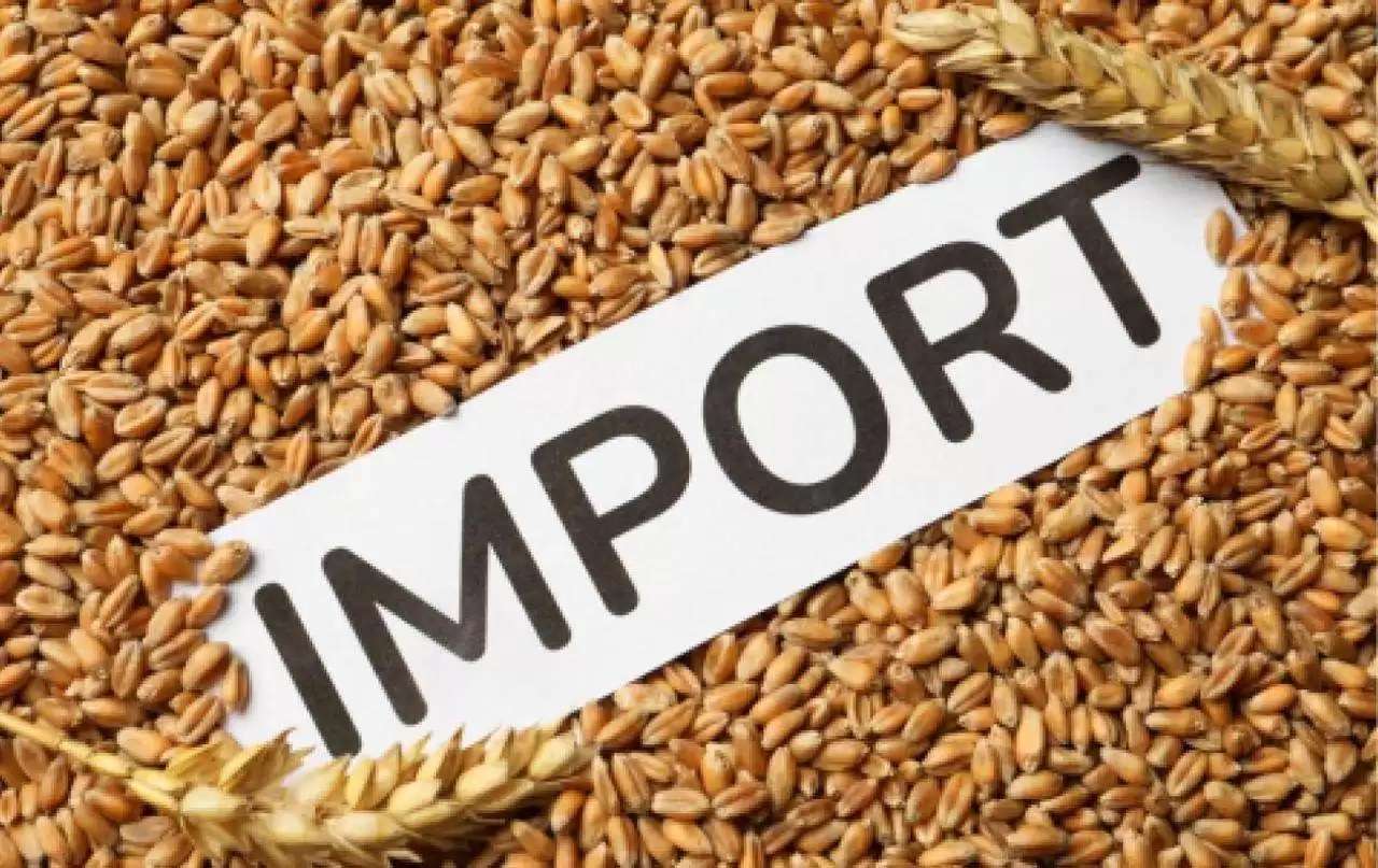 Licențierea importului de cereale și oleaginoase - agroexpert.md