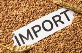 Licențierea importului de cereale și oleaginoase - agroexpert.md