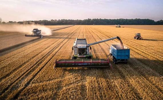Strategie Grains третий месяц подряд повышает прогноз урожая пшеницы в ЕС - agroexpert.md
