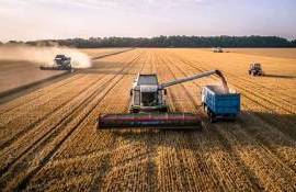 Strategie Grains третий месяц подряд повышает прогноз урожая пшеницы в ЕС - agroexpert.md