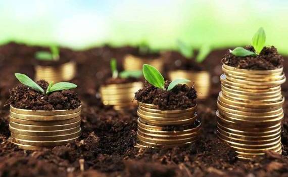 Налоговая служба напомнила крайний срок уплаты налога на землю - agroexpert.md