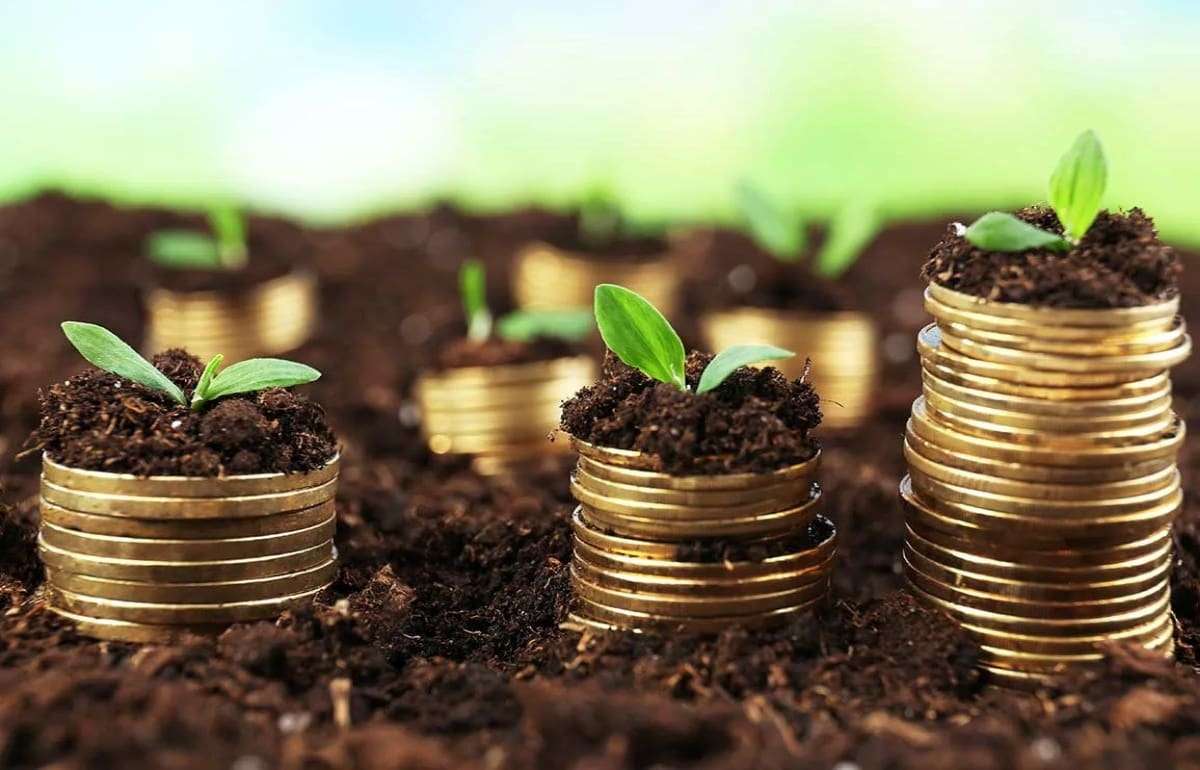 Налоговая служба напомнила крайний срок уплаты налога на землю - agroexpert.md