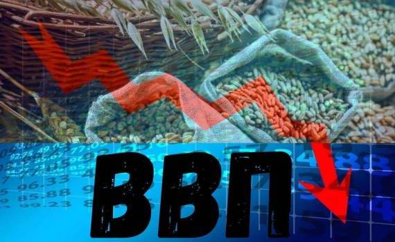 Сельское хозяйство ускорило падение ВВП Молдовы в первом квартале 2025 года - agroexpert.md