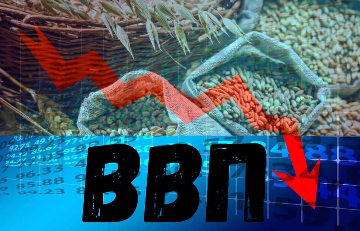 Сельское хозяйство ускорило падение ВВП Молдовы в первом квартале 2025 года - agroexpert.md