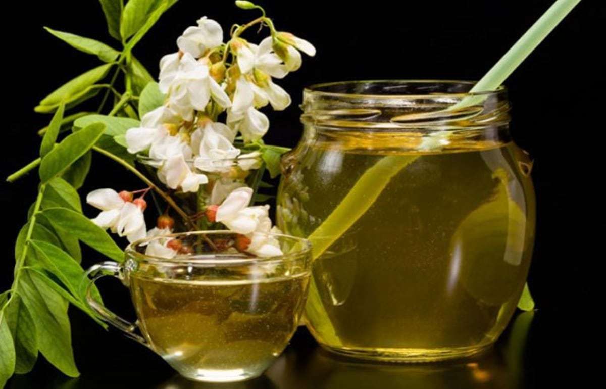 Акациевого меда в 2025 году в Венгрии почти не будет - agroexpert.md