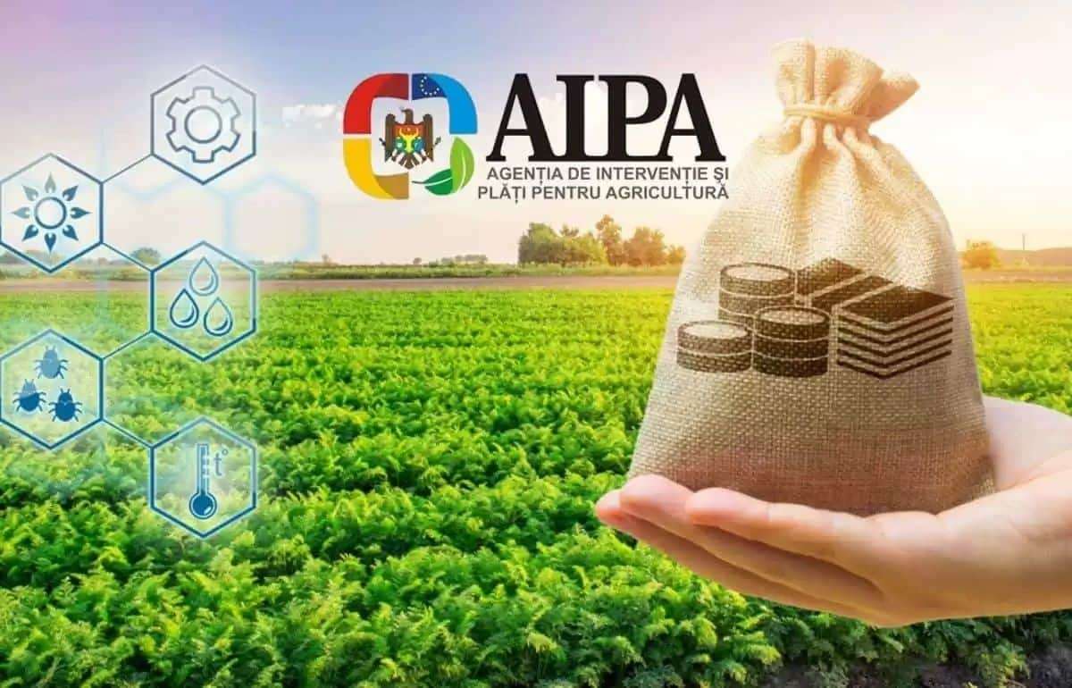 AIPA выделила более 41 млн леев субсидий фермерам - agroexpert.md