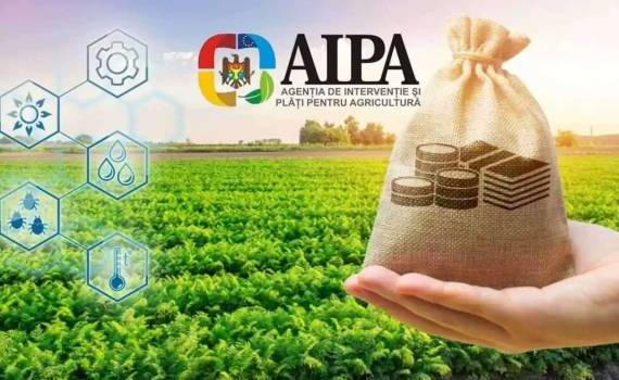 AIPA выделила более 41 млн леев субсидий фермерам - agroexpert.md
