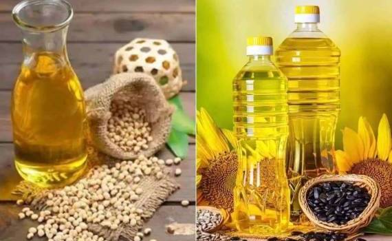 Масличные культуры: соя, подсолнечник, рапс – разные векторы развития - agroexpert.md