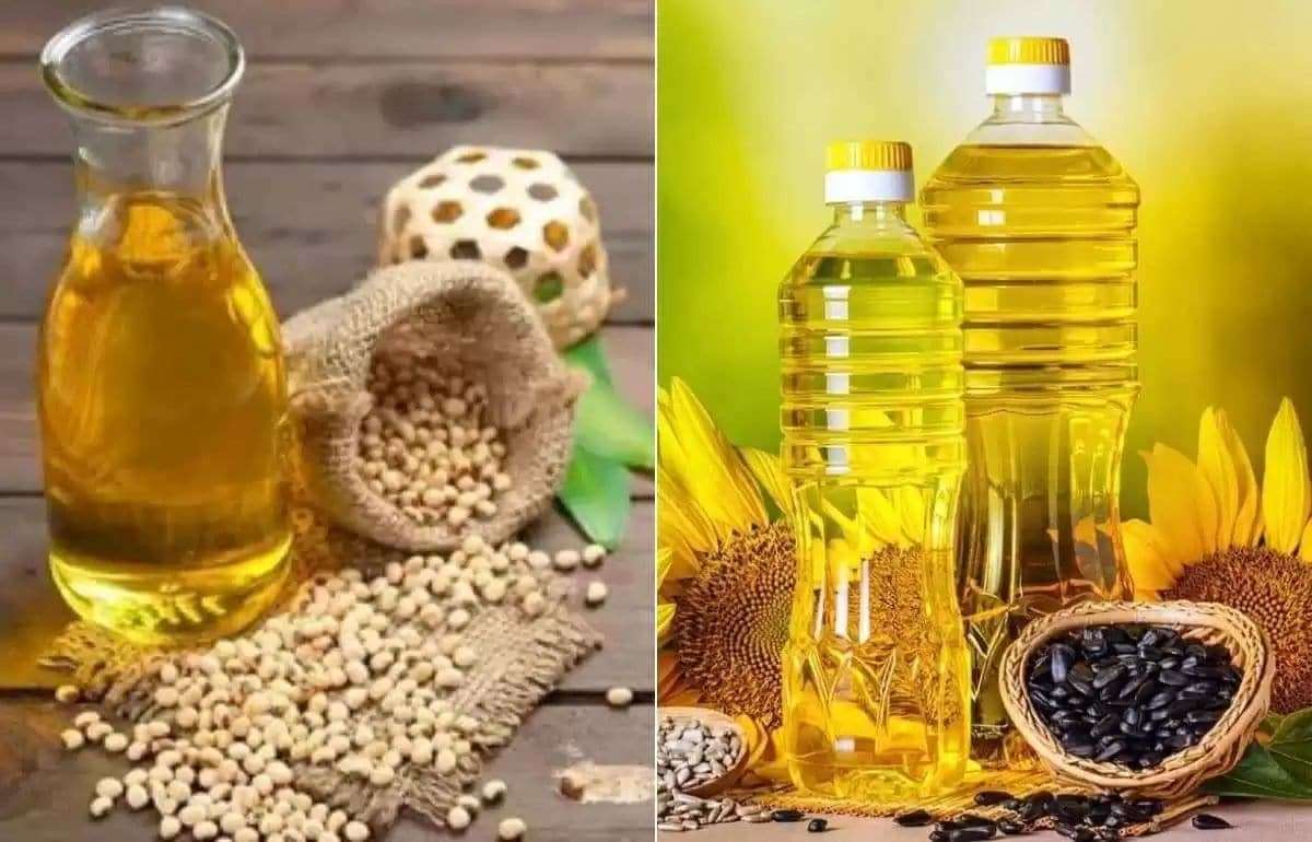 Масличные культуры: соя, подсолнечник, рапс – разные векторы развития - agroexpert.md