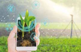 Specialități noi la UTM: Agricultură inteligentă - agroexpert.md