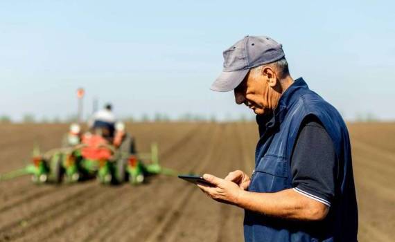 Власти снижают порог компенсаций социальных взносов для фермеров - agroexpert.md