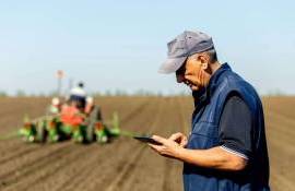 Власти снижают порог компенсаций социальных взносов для фермеров - agroexpert.md
