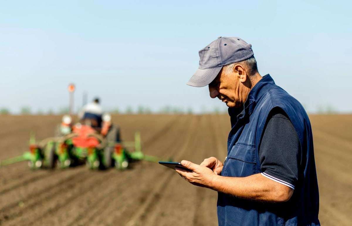 Власти снижают порог компенсаций социальных взносов для фермеров - agroexpert.md