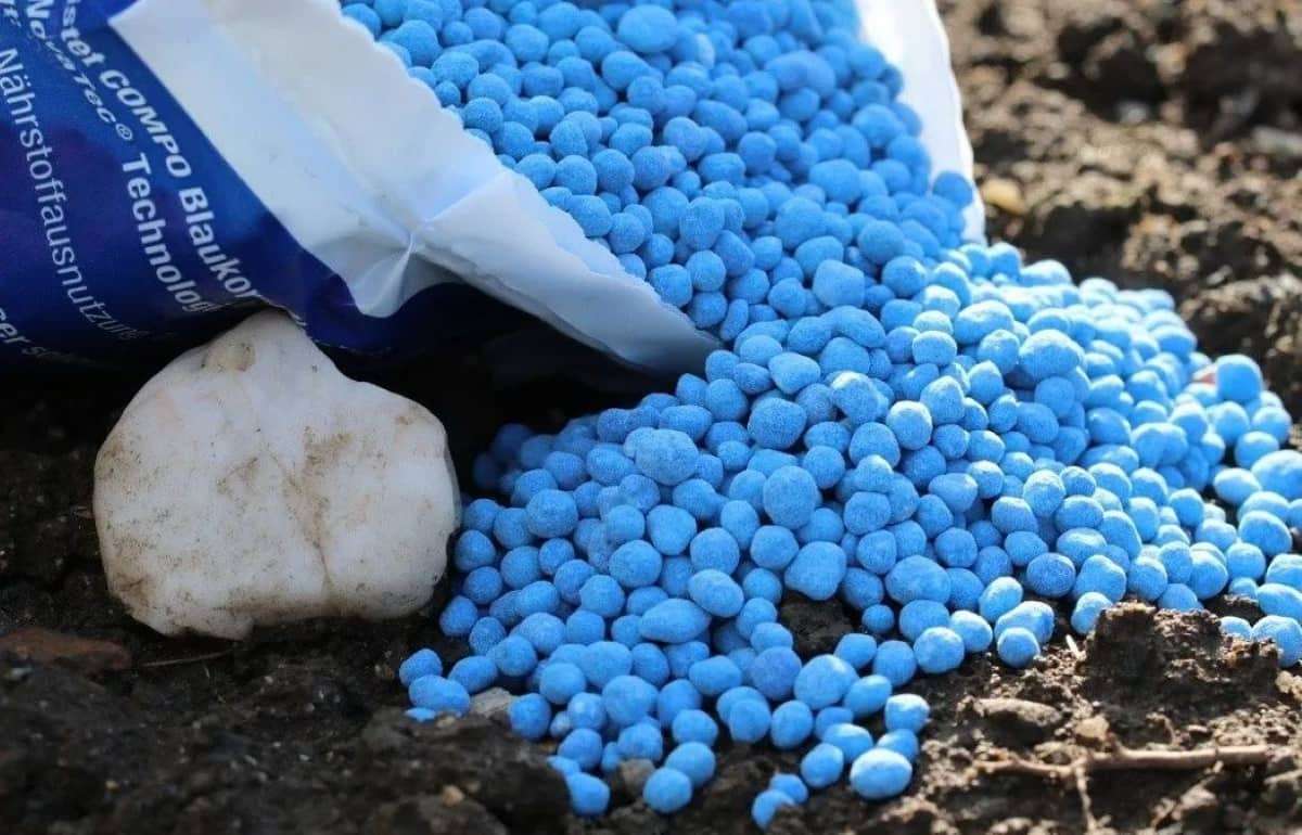 ФАО: Мировые цены на удобрения растут - agroexpert.md