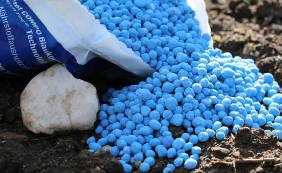 ФАО: Мировые цены на удобрения растут - agroexpert.md