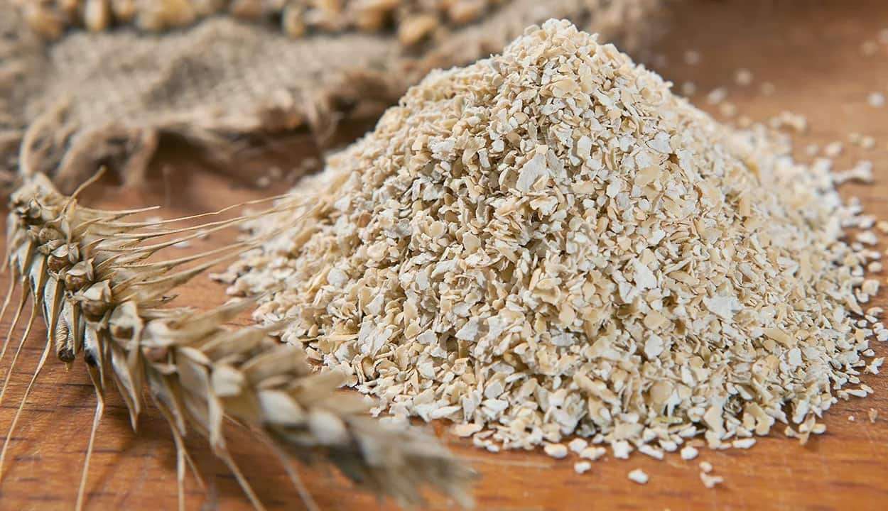 Внешняя торговля кормовыми и побочными продуктами агросектора РМ: май 2025 - agroexpert.md