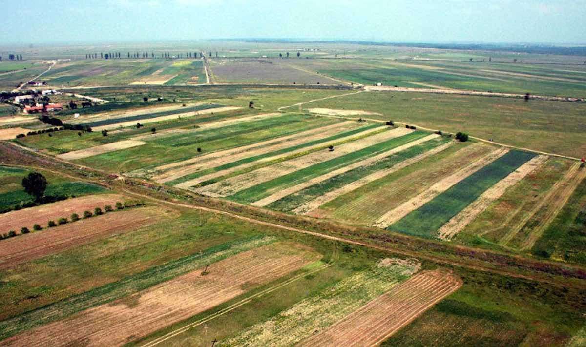 Avantajele și limitele noului Cod Funciar din Republica Moldova - agroexpert.md