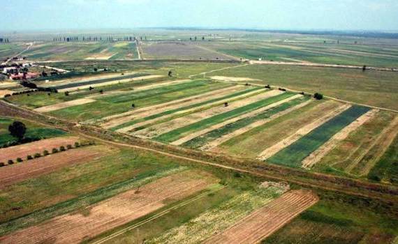 Avantajele și limitele noului Cod Funciar din Republica Moldova - agroexpert.md