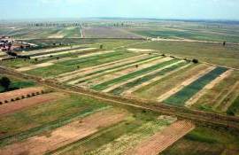 Avantajele și limitele noului Cod Funciar din Republica Moldova - agroexpert.md