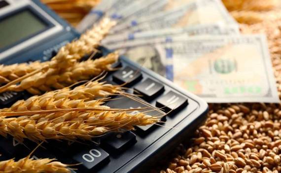 Внедрение государственного факторинга окажет поддержку фермерам Молдовы - agroexpert.md