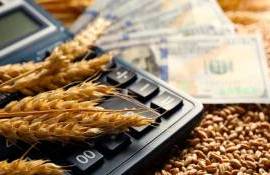 Внедрение государственного факторинга окажет поддержку фермерам Молдовы - agroexpert.md