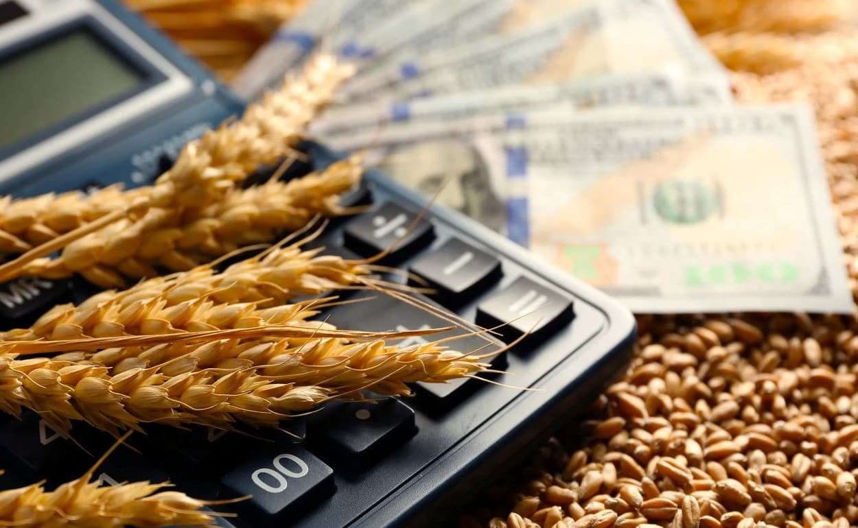 Внедрение государственного факторинга окажет поддержку фермерам Молдовы - agroexpert.md